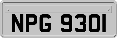 NPG9301