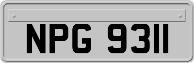 NPG9311