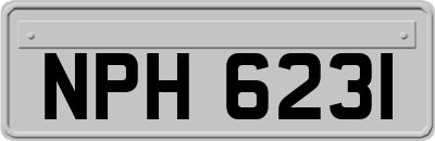 NPH6231