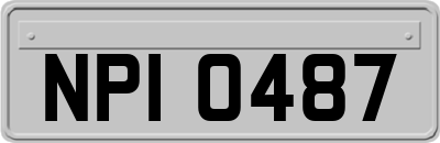 NPI0487
