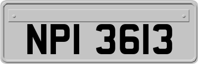 NPI3613