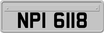 NPI6118