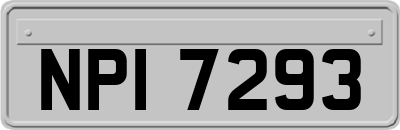 NPI7293