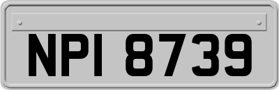 NPI8739
