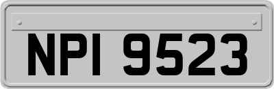 NPI9523