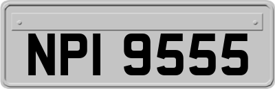 NPI9555