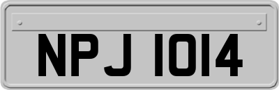 NPJ1014