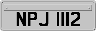 NPJ1112