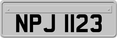 NPJ1123