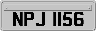 NPJ1156