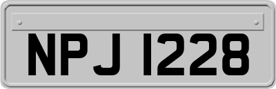 NPJ1228