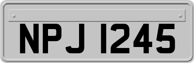 NPJ1245