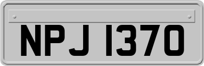 NPJ1370