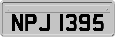 NPJ1395