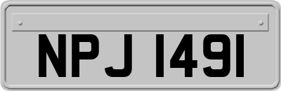 NPJ1491