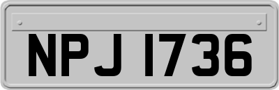 NPJ1736