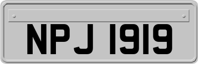 NPJ1919