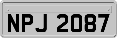 NPJ2087