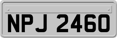 NPJ2460