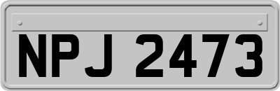 NPJ2473