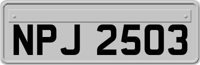 NPJ2503