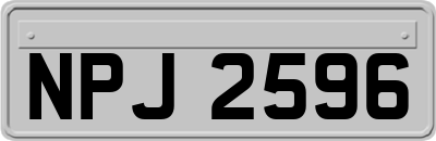 NPJ2596