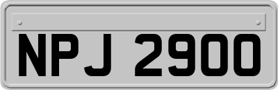 NPJ2900