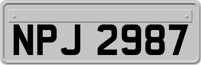 NPJ2987