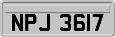 NPJ3617