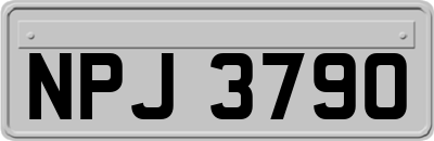 NPJ3790