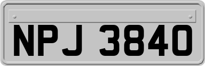 NPJ3840