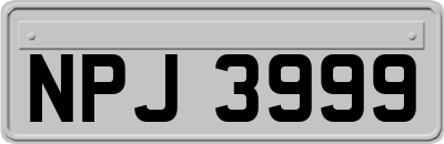 NPJ3999