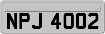 NPJ4002