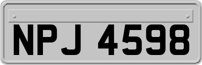 NPJ4598