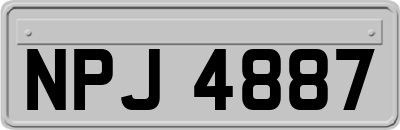 NPJ4887