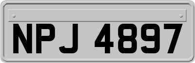 NPJ4897