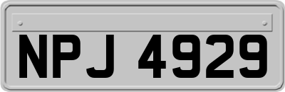 NPJ4929