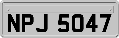 NPJ5047
