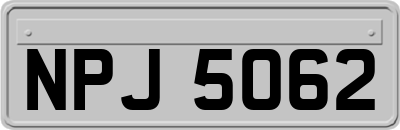 NPJ5062