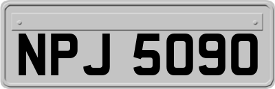 NPJ5090