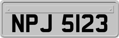 NPJ5123