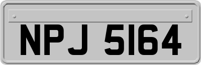 NPJ5164