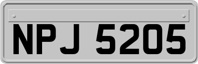NPJ5205