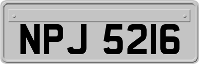 NPJ5216