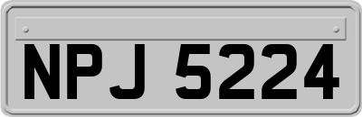 NPJ5224