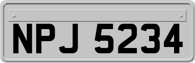 NPJ5234