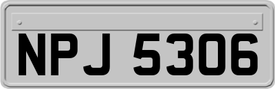 NPJ5306