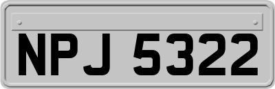NPJ5322