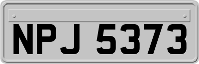 NPJ5373