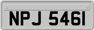 NPJ5461